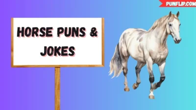 Horse Puns & Jokes