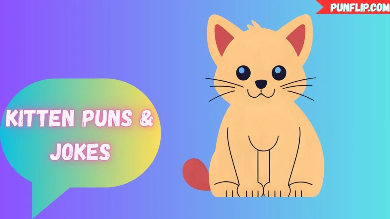 Kitten Puns & Jokes
