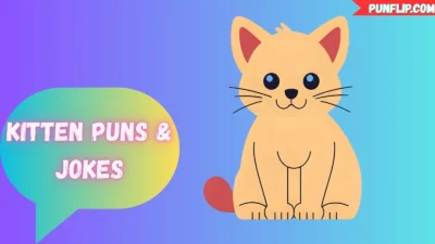 Kitten Puns & Jokes