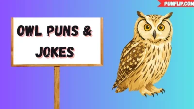 Owl Puns & Jokes