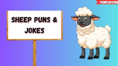 Sheep Puns & Jokes