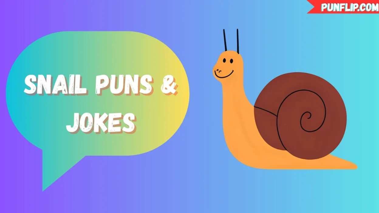 Snail Puns & Jokes