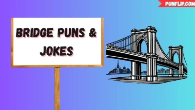 Bridge Puns & Jokes