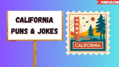 California Puns & Jokes