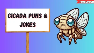 Cicada Puns & Jokes