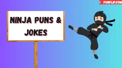 Ninja Puns & Jokes