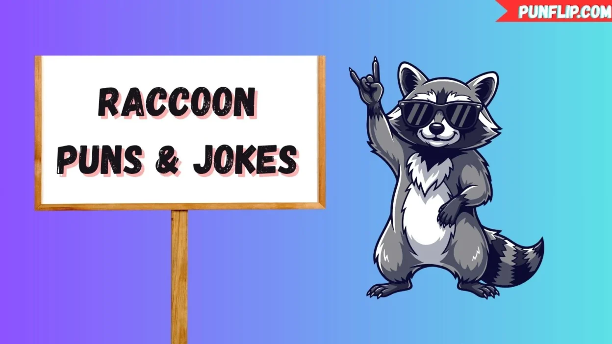 Raccoon Puns & Jokes