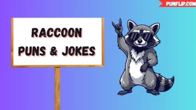 Raccoon Puns & Jokes