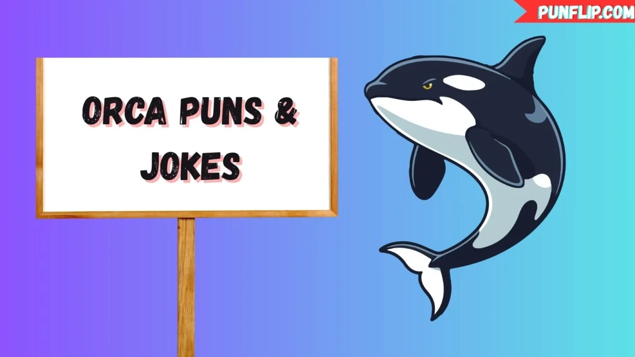 Orca Puns & Jokes