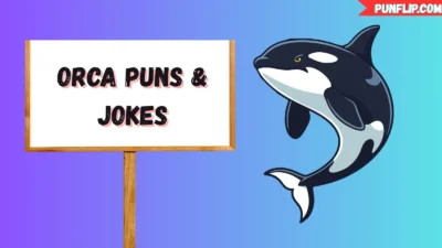 Orca Puns & Jokes