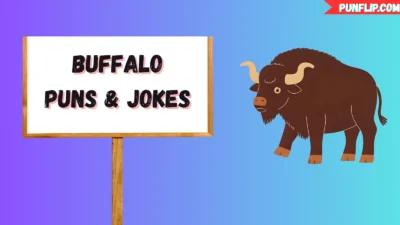 Buffalo Puns & Jokes