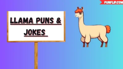 Llama Puns & Jokes