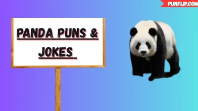 Panda Puns & Jokes