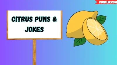 Citrus Puns & Jokes