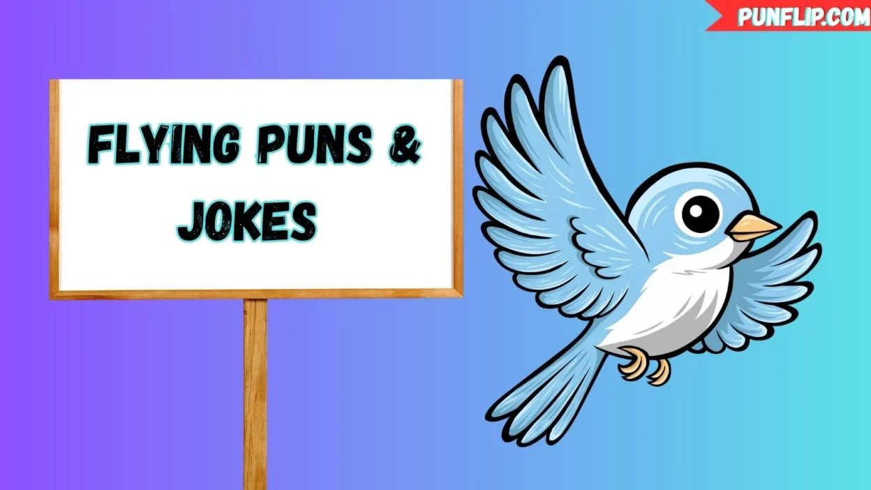 Flying Puns & Jokes