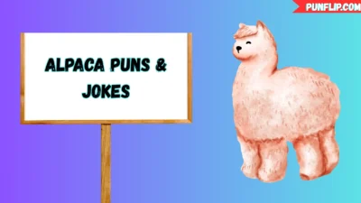 Alpaca Puns & Jokes