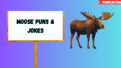 Moose Puns & Jokes