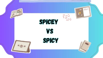 Spicey vs Spicy