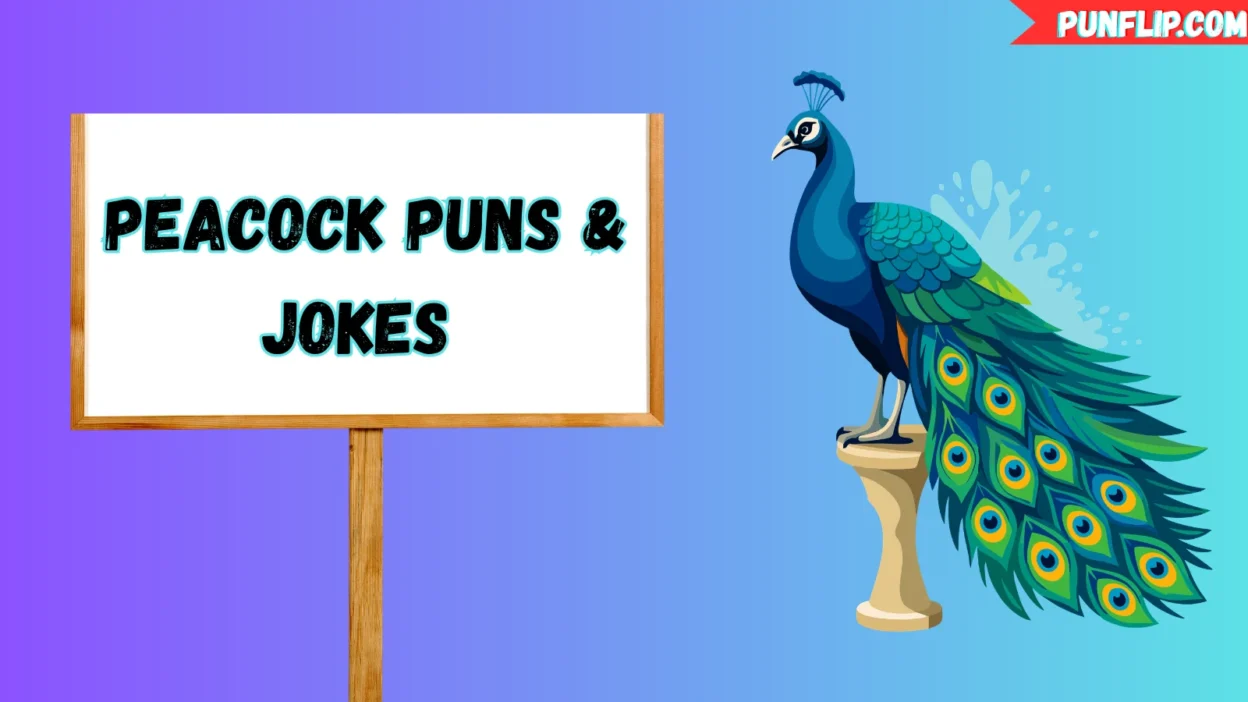 Peacock Puns & Jokes